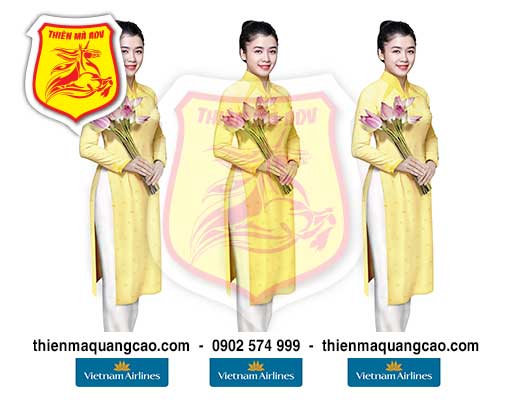 Mô hình Vietnam airlines New